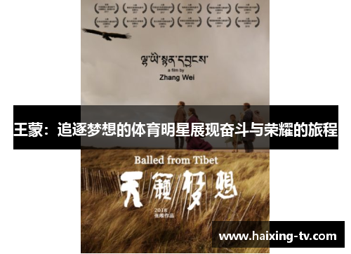 王蒙：追逐梦想的体育明星展现奋斗与荣耀的旅程