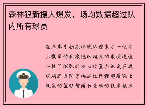 森林狼新援大爆发，场均数据超过队内所有球员